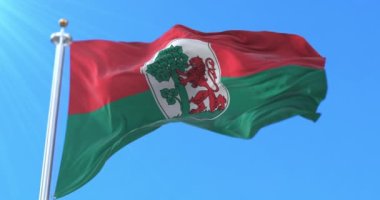 Letonya 'nın Liepaja eyaleti bayrağı. Döngü