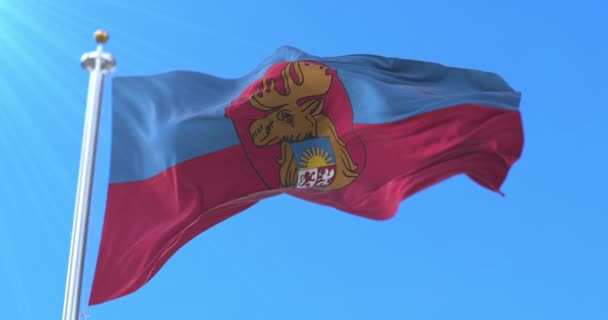 Bandera Jelgava State City Latvia Bucle — Vídeos de Stock