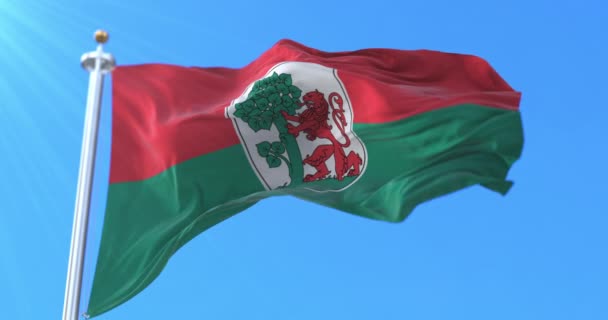 ラトビアのリーパジャ州の旗 ループ — ストック動画