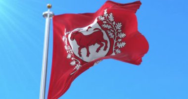 Sudovia bayrağı, Litvanya 'nın kültürel bölgesi. Döngü