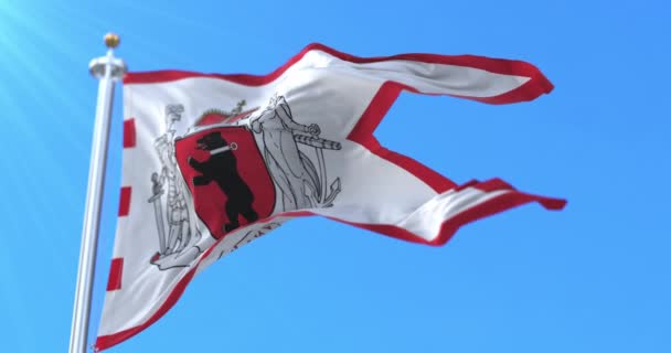 Vlajka Samogitie Kulturní Oblast Litvy Smyčka — Stock video