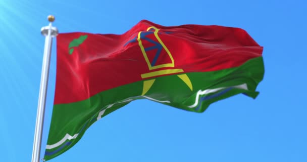 Flag Dubasari City Transnistria Loop — Stock Video