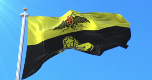 Bender Város Zászlója Transznisztria Hurok — Stock videók
