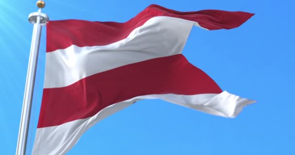 Флаг Города Прешов Словакия Петля — стоковое видео