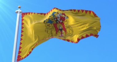Flag of Miskolc city, Hungary. Loop