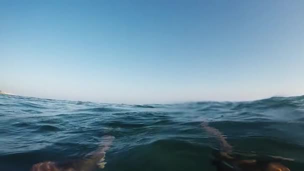 Flyter Ett Blått Hav Förstapersonsvy — Stockvideo
