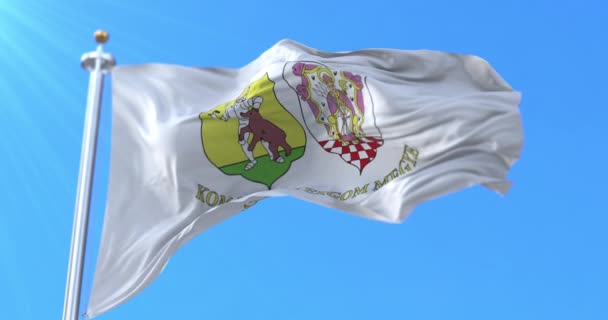 Bandiera Della Contea Komarom Esztergom Ungheria Ciclo — Video Stock
