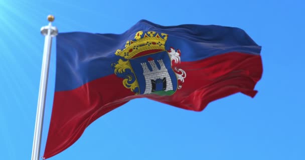 ハンガリーのシェケシェフェハイア市の旗 ループ — ストック動画