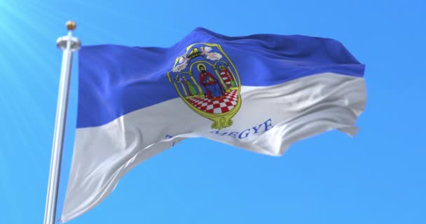 Bandiera Della Contea Tolna Ungheria Ciclo — Video Stock