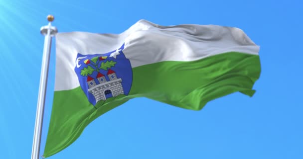 Flagga Veszprem County Ungern Ögla — Stockvideo