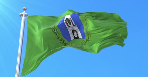 Bandera Del Condado Baranya Hungría Bucle — Vídeo de stock