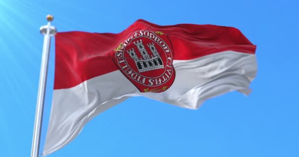 Bandera Sopron Hungría Bucle — Vídeo de stock