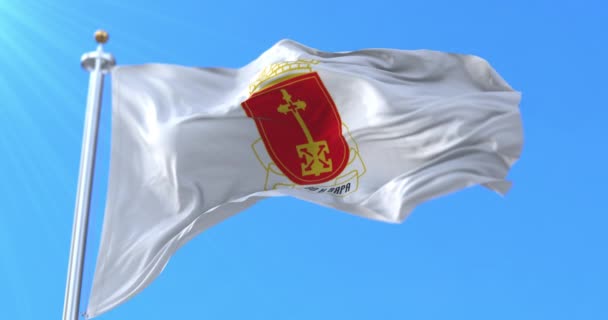 Σημαία Χάσκοβο Βουλγαρία Βρόχος — Αρχείο Βίντεο