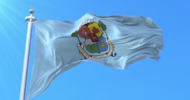 Bandeira Província Sofia Bulgária Laço — Vídeo de Stock