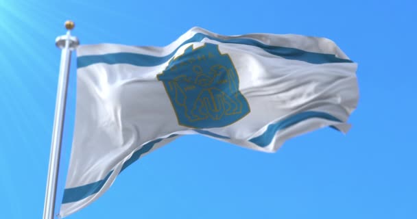 Flagga För Provinsen Varna Bulgarien Ögla — Stockvideo