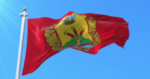 Флаг Могилевской Области Беларусь Петля — стоковое видео