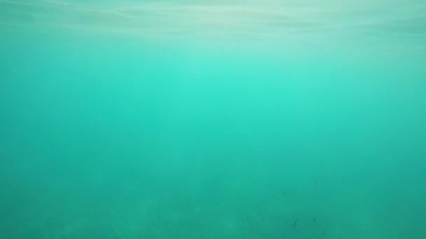 Повітря Міхур Піднімається Поверхні Морі — стокове відео