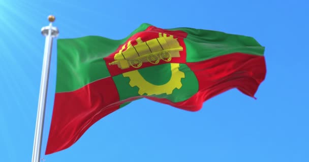 Vlajka Města Baranawitschy Bělorusko Smyčka — Stock video