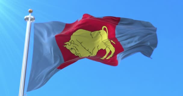 Brest Regionens Flagga Vitryssland Ögla — Stockvideo