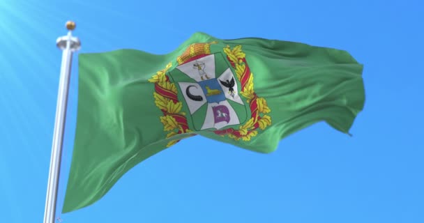 Flagge Der Region Gomel Weißrussland Schleife — Stockvideo