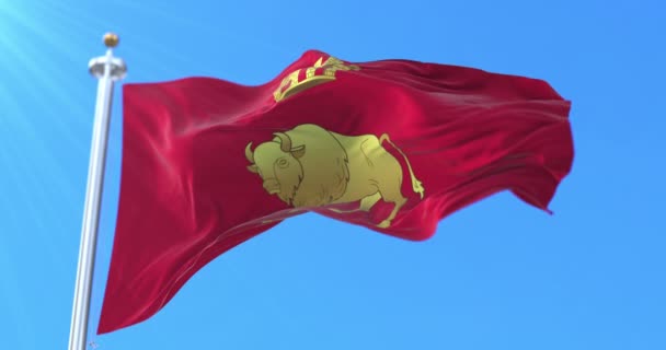 Флаг Гродненской Области Беларусь Петля — стоковое видео