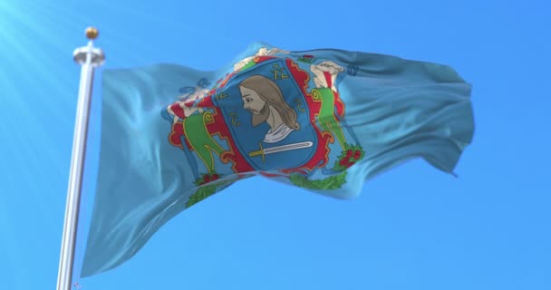 Vitebsk Şehri Belarus Bayrağı Döngü — Stok video