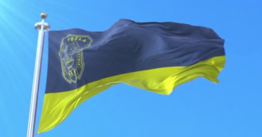 Bosna-Hersek 'in Tuzla kenti bayrağı. Döngü