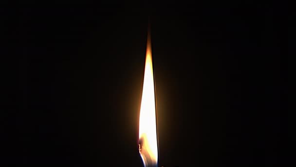 Kerzenschein Der Dunkelheit — Stockvideo
