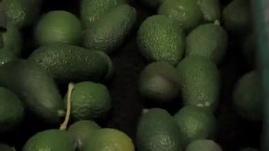 Paketleme hattı 78 4K 'da Avokadolar