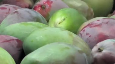 Paketleme hattında mango meyvesi 4K