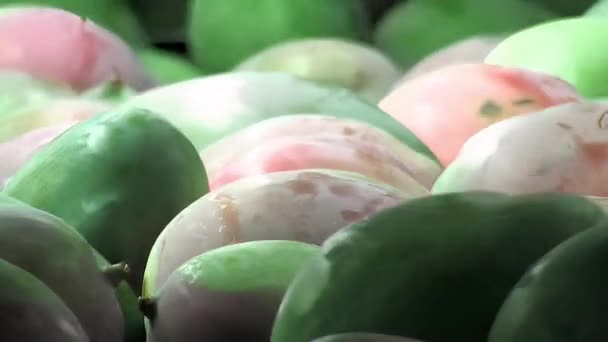 Плоды Манго Упаковке Линии — стоковое видео