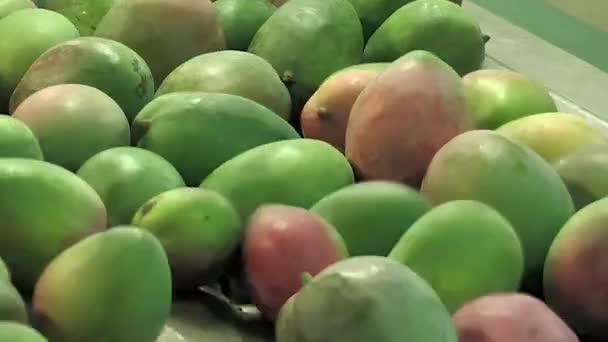 Плоды Манго Упаковке Линейка — стоковое видео