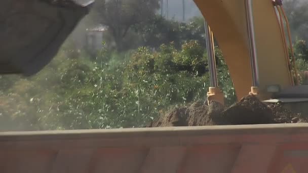 掘削機が地面を掘ってトラックを積む コンストラクション — ストック動画