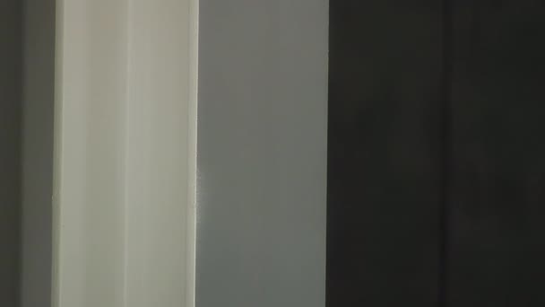 スプレーが付いている倉庫産業の構造の柱を白く塗ること — ストック動画