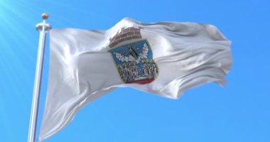 Sırbistan 'ın Zrenjanin bayrağı. Döngü