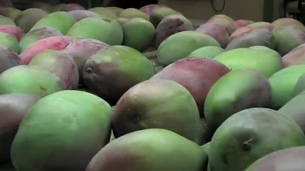 Laminado Mango Una Línea Industrial Envasado — Vídeos de Stock