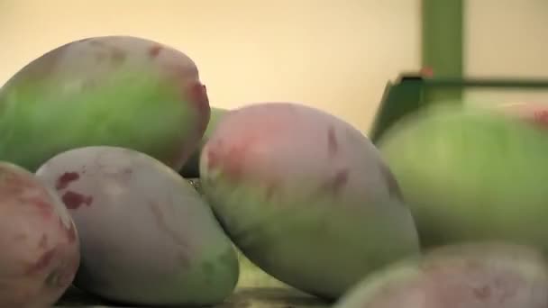 Línea Industrial Procesamiento Frutas Con Mango — Vídeos de Stock