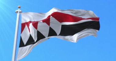 Saarijarvi, Finlandiya bayrağı. Döngü