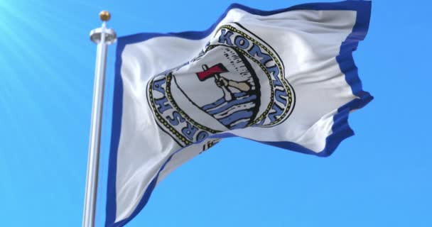 法罗群岛托尔沙文旗 — 图库视频影像