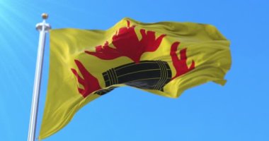 Kokkola, Finlandiya bayrağı. Döngü