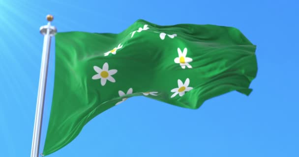 Bendera Raseborg Finlandia Pengulangan — Stok Video