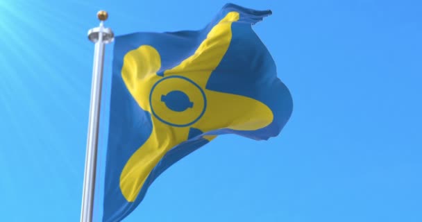 芬兰Kimitoon国旗 — 图库视频影像