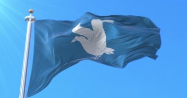 Norveç, Hasvik Kommune bayrağı. Döngü