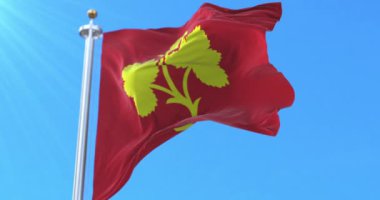 Norveç, Nesseby Kommune bayrağı. Döngü