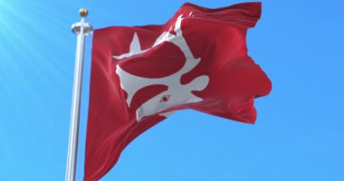 Norveç, Vadso Kommune bayrağı. Döngü