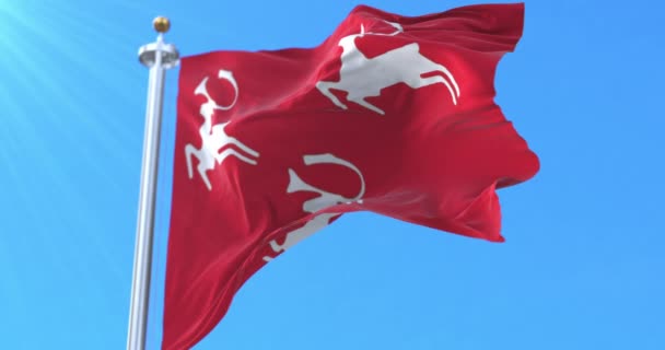 Bandeira Porsanger Kommune Noruega Laço — Vídeo de Stock