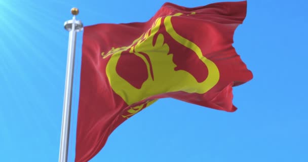 Bandera Stjordal Kommune Noruega Bucle — Vídeos de Stock