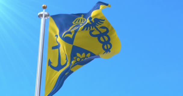 Bandera Oskarshamn Suecia Bucle — Vídeos de Stock