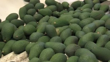 Avokadolarla endüstriyel taşıma bandı