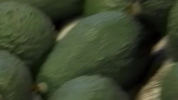Avocados Einem Industriellen Förderband — Stockvideo